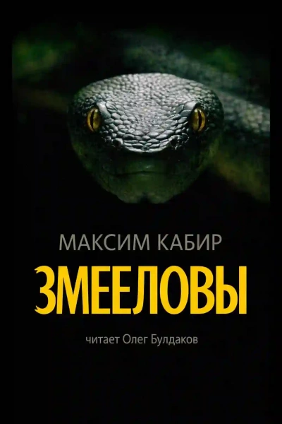 Змееловы. Исцеление - Кабир Максим